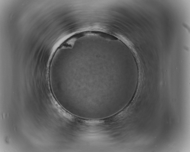 X0000103251200200808281456