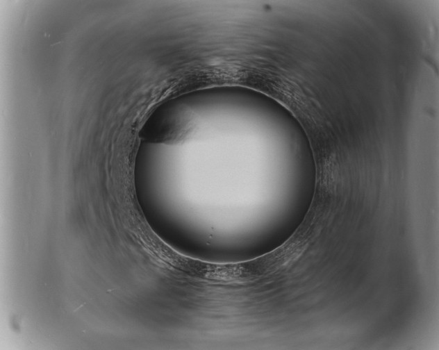 X0000103251201200808281456