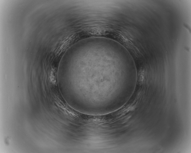 X0000103251202200808281456