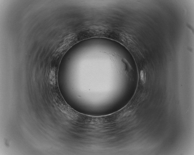 X0000103251203200808281456