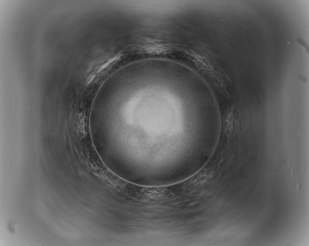 X0000103251205200808281456