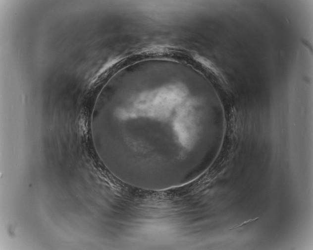X0000103251206200808281456
