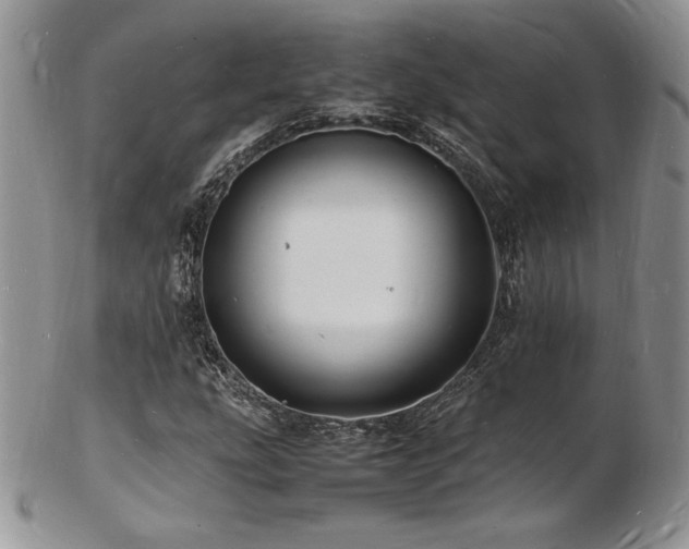 X0000103251207200808281456