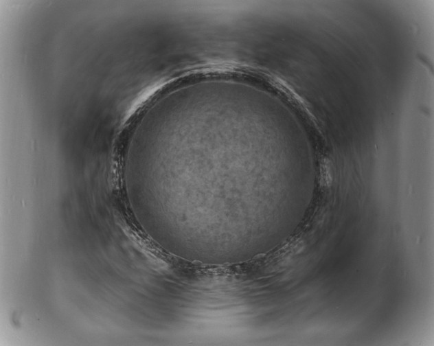 X0000103251208200808281456