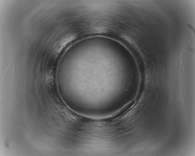 X0000103251210200808281456