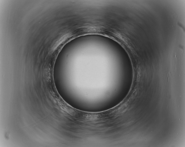 X0000103251211200808281456