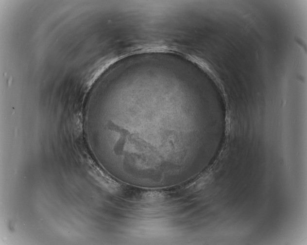 X0000103251212200808281456