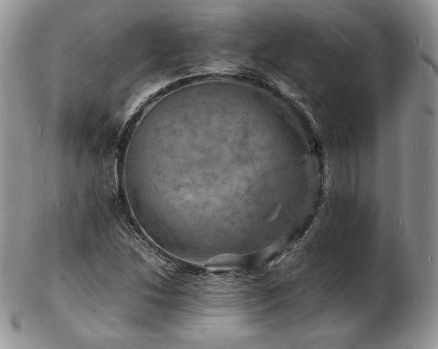 X0000103251214200808281456