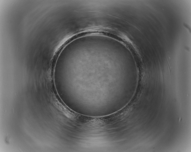 X0000103251216200808281456