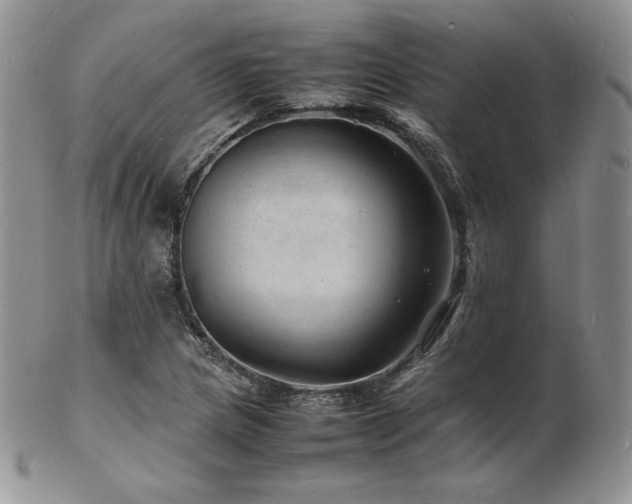 X0000103251217200808281456