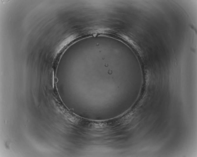 X0000103251219200808281456