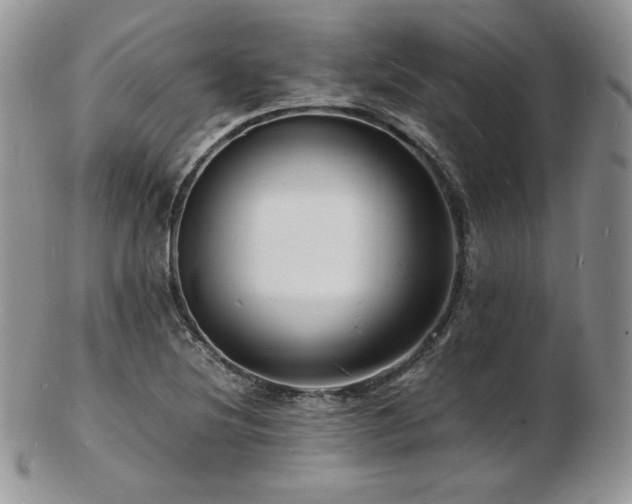 X0000103251220200808281456