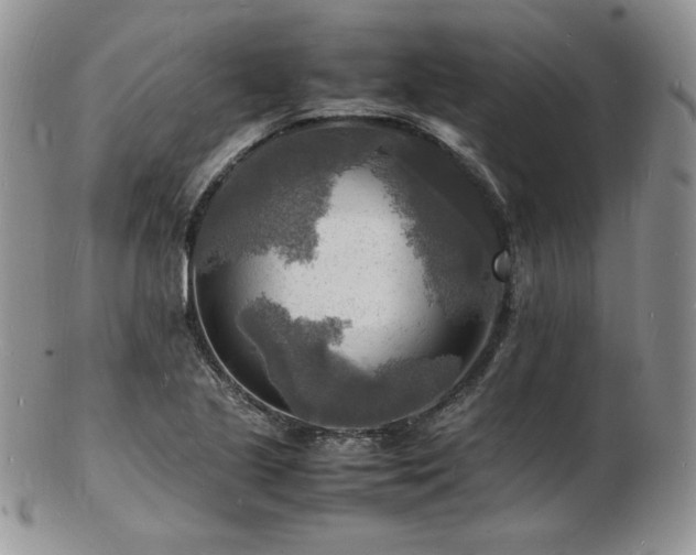 X0000103251221200808281456