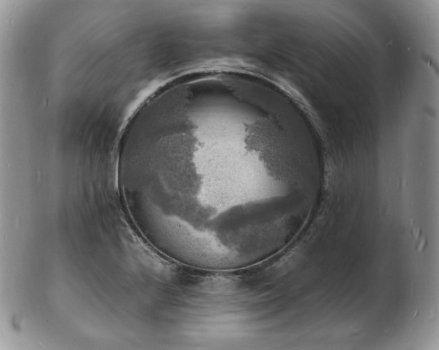 X0000103251224200808281456