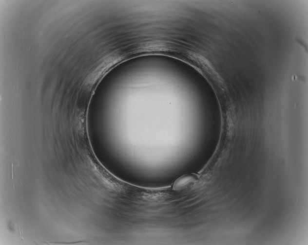 X0000103251225200808281456