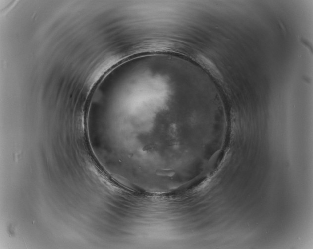 X0000103251226200808281456