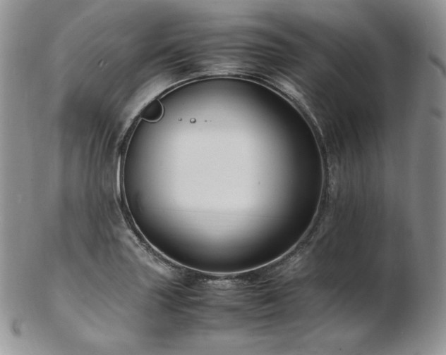 X0000103251227200808281456