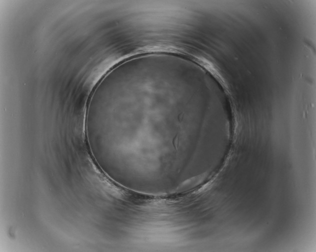 X0000103251228200808281456