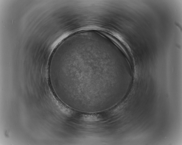 X0000103251229200808281456