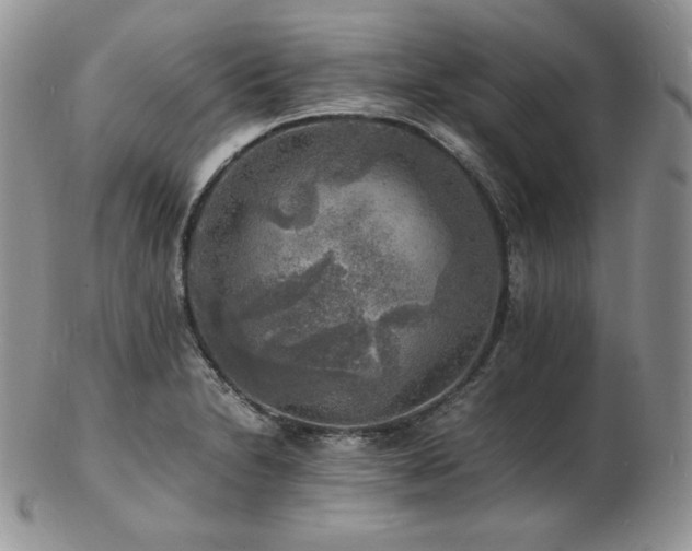 X0000103251230200808281456
