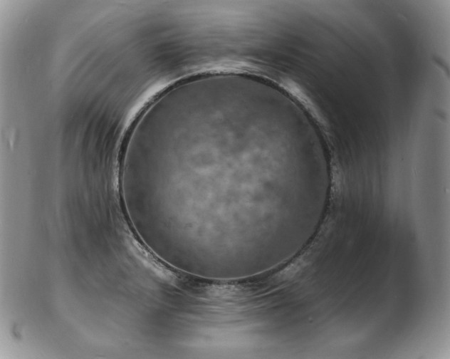 X0000103251232200808281456