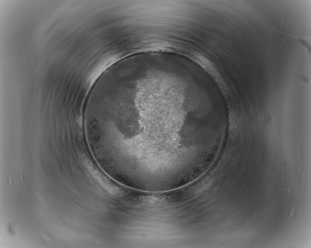 X0000103251234200808281456