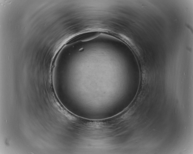 X0000103251236200808281456