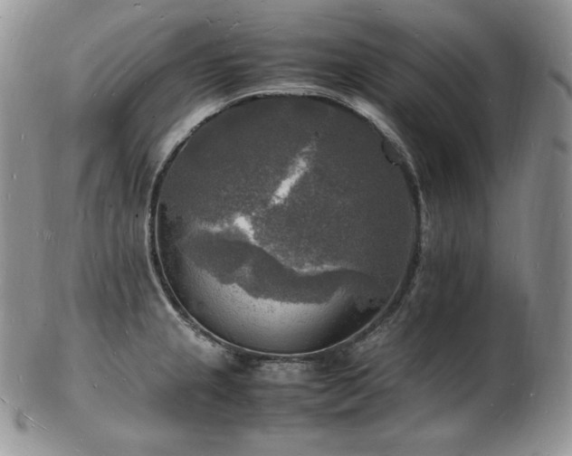 X0000103251237200808281456
