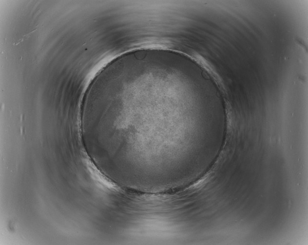X0000103251240200808281456