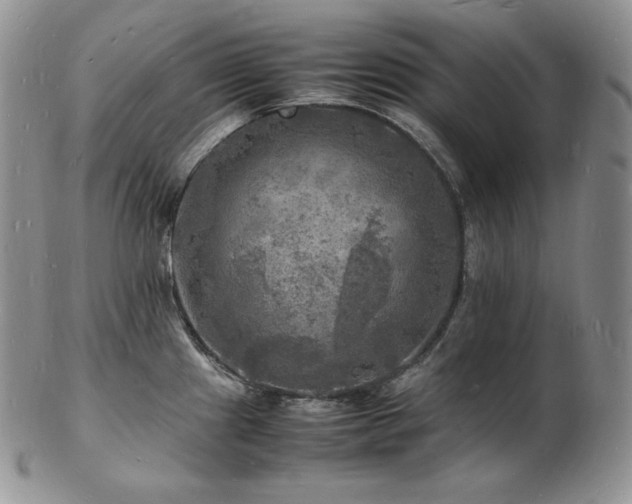 X0000103251241200808281456