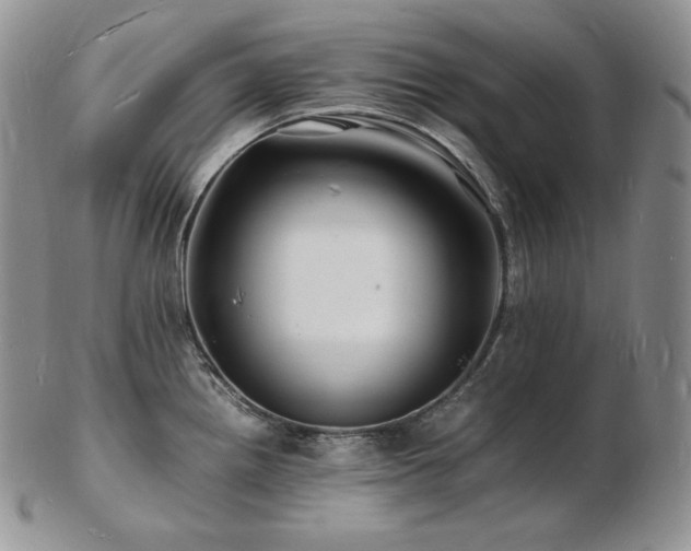 X0000103251242200808281456