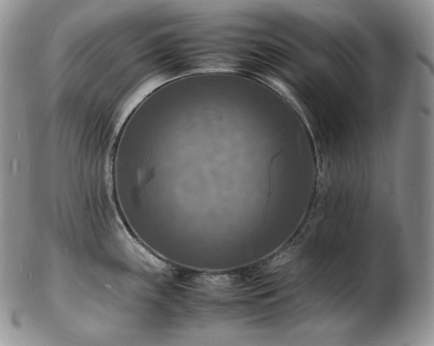 X0000103251243200808281456
