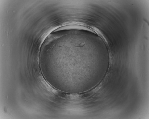 X0000103251244200808281456