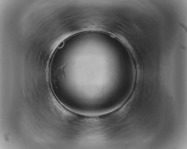 X0000103251246200808281456