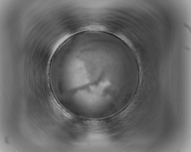 X0000103251248200808281456