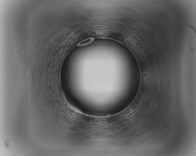 X0000103251249200808281456