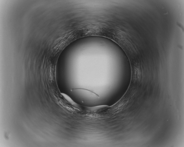 X0000103251250200808281456