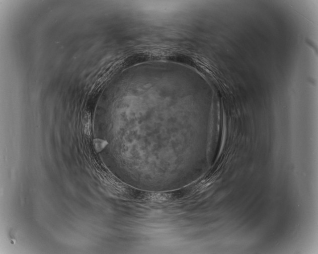 X0000103251251200808281456