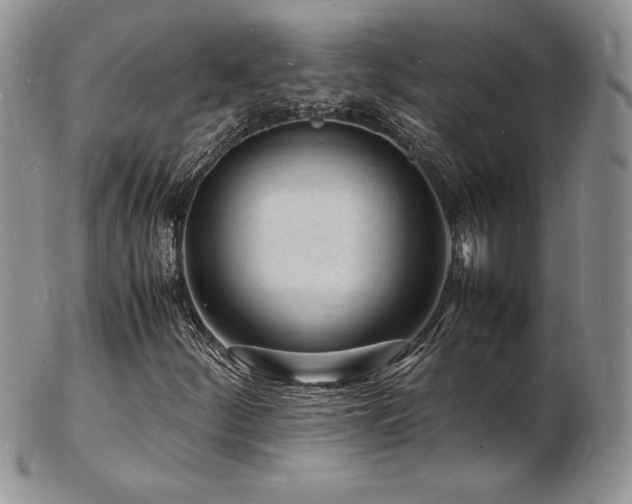 X0000103251252200808281456