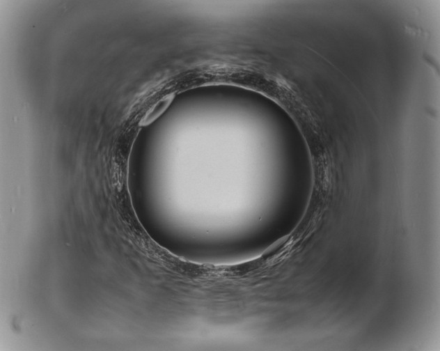 X0000103251253200808281456