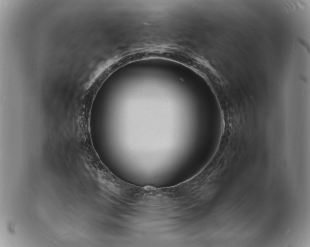X0000103251256200808281456
