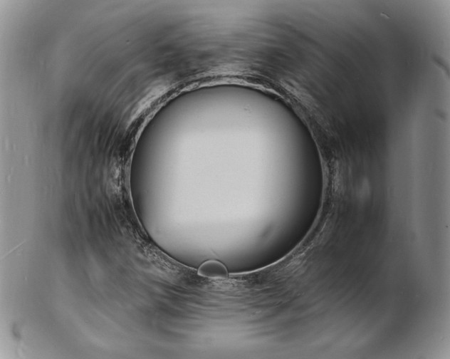 X0000103251258200808281456