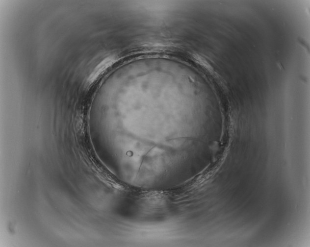 X0000103251259200808281456