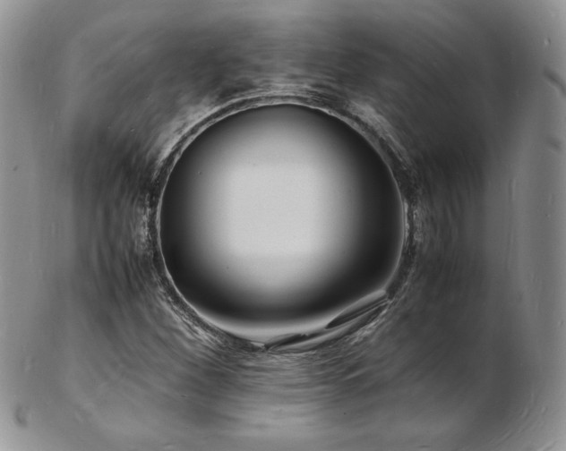 X0000103251260200808281456