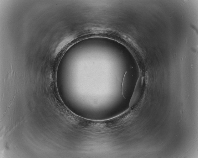 X0000103251261200808281456