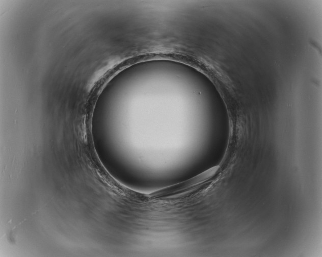 X0000103251262200808281456