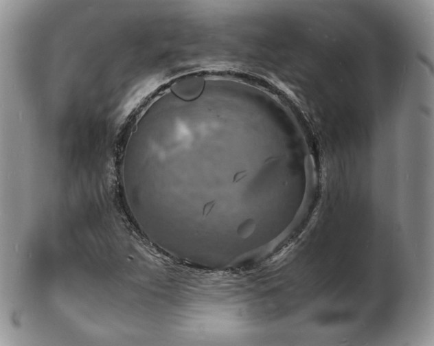 X0000103251263200808281456