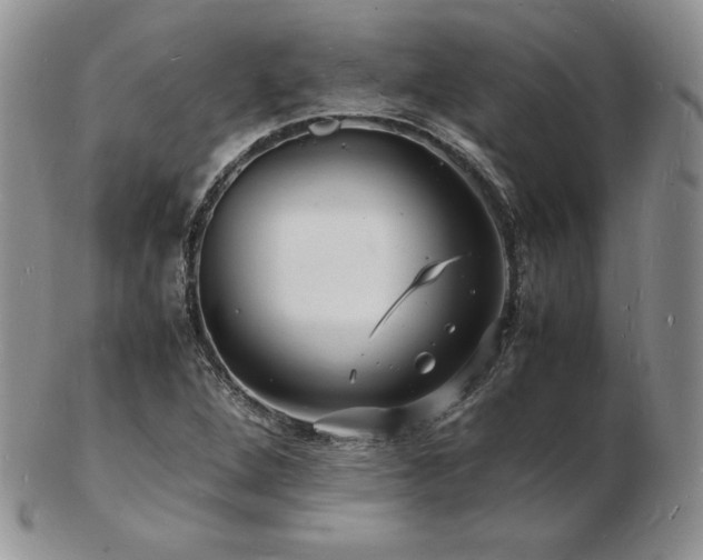 X0000103251264200808281456