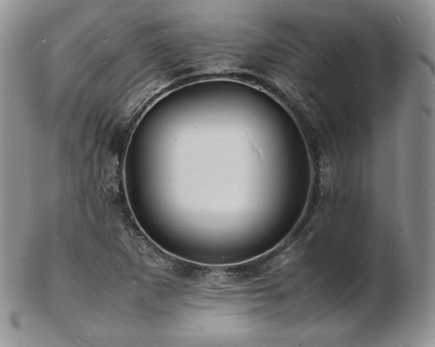 X0000103251265200808281456