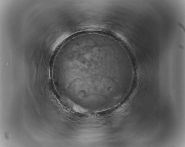 X0000103251267200808281456